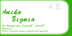 aniko bignio business card